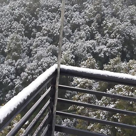 Solitude Inn Bnb شيملا المظهر الخارجي الصورة