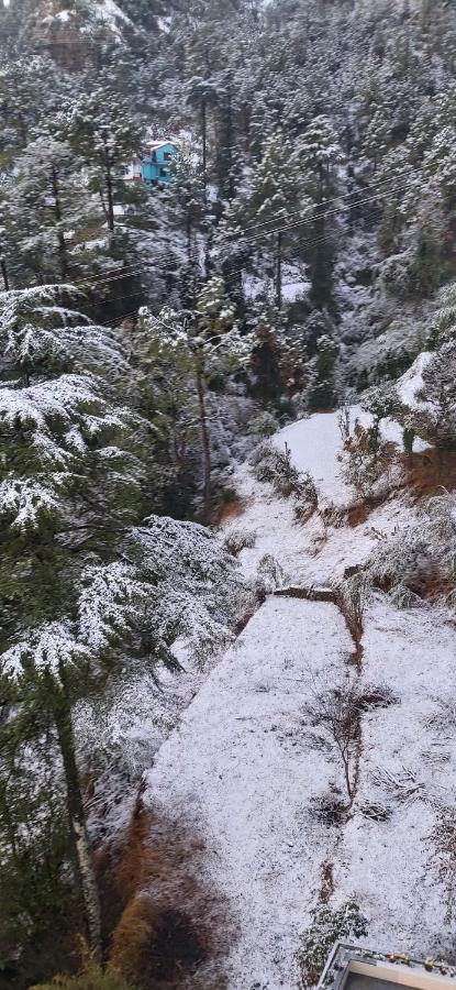 Solitude Inn Bnb شيملا المظهر الخارجي الصورة